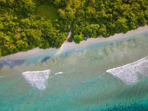 ފަތުވެރިކަމަށް އުންމީދީ ކުލަވަރު، އުލިގަމަށް ފުރަތަމަ ޔޮޓް ބަނދަރުކޮށްފި