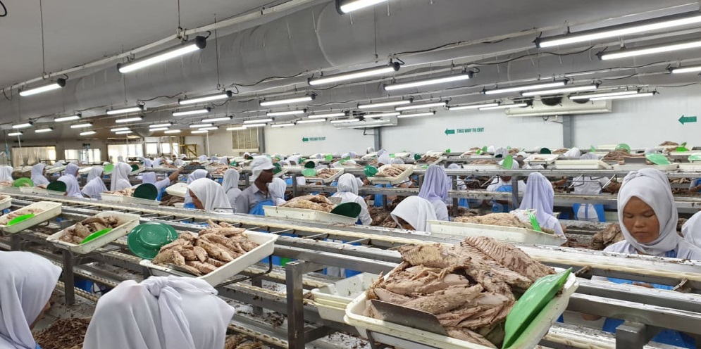 ލަންކާއަށް މަސް އެކްސްޕޯޓް ކުރުމުގައި ހުރަހެއް ނޯންނާނެކަމުގެ ޔަޤީންކަން ވަނީ ލިބިފައި: މިނިސްޓަރ ޝާހިދު