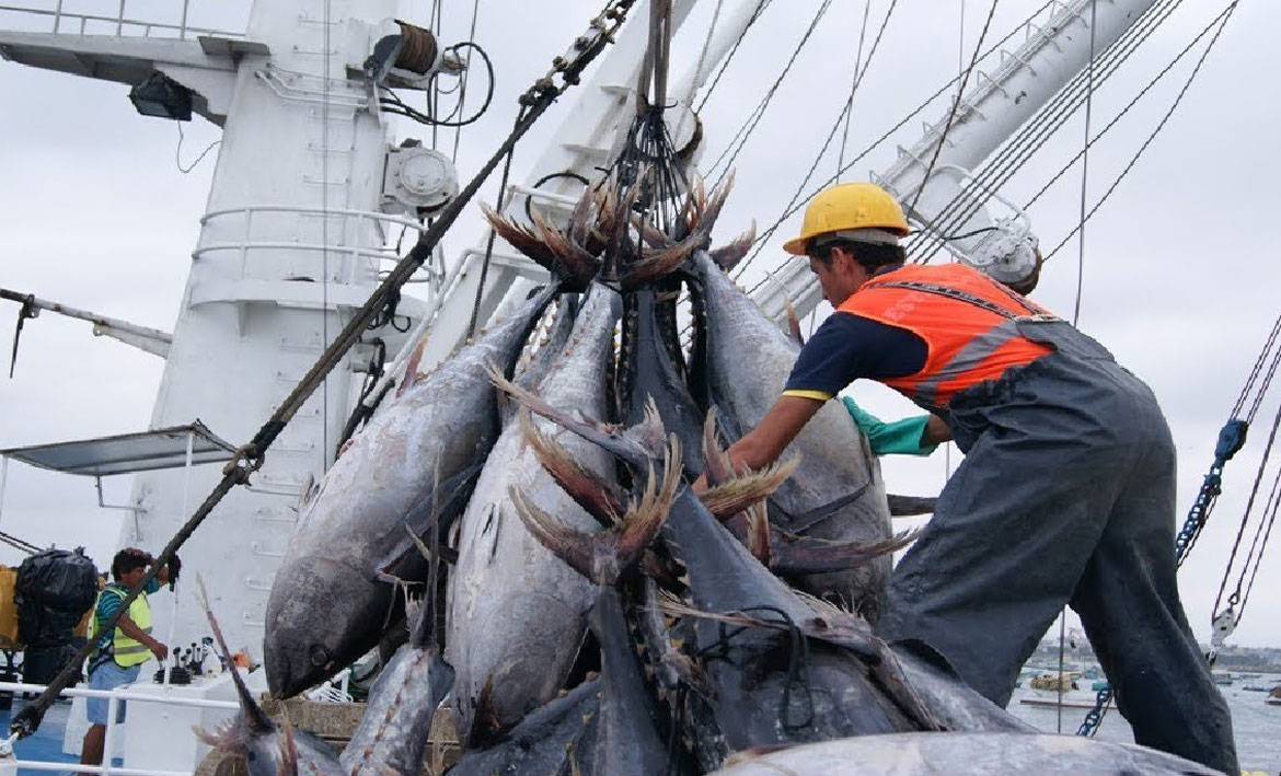 ހޮރައިޒަން ފިޝަރީޒުން މަސްގަތުން ކޮންޓްރޯލް ކޮށްފި