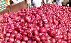 އިންޑިއާގައި 550 ކިލޯގެ ފިޔާ ވަގަށް ނެގި ބަޔަކު ހައްޔަރުކޮށްފި