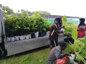 ދަނޑުވެރިންގެ ދުވަހާއި ގުޅުވައިގެން ގަސް ހަދިޔާކުރުމުގެ ޕްރޮގުރާމެއް