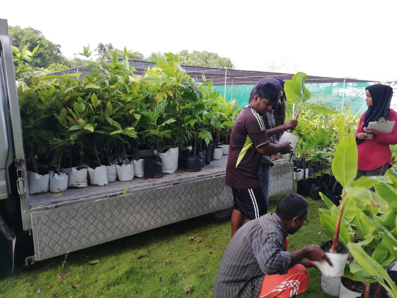 ދަނޑުވެރިންގެ ދުވަހާއި ގުޅުވައިގެން ގަސް ހަދިޔާކުރުމުގެ ޕްރޮގުރާމެއް