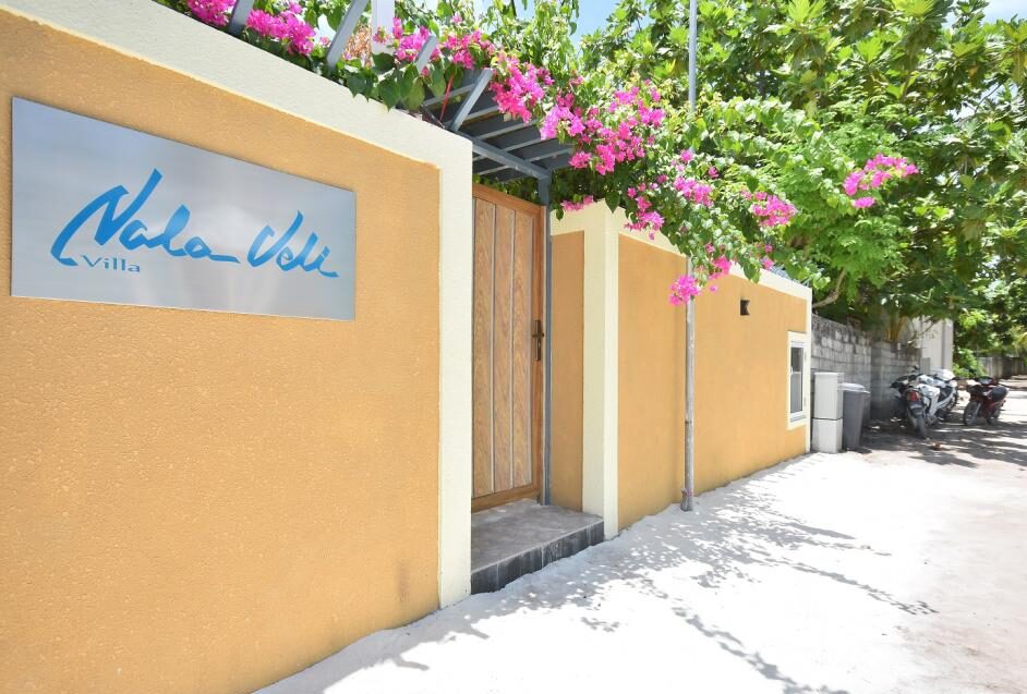 އުކުޅަހުގައި ހުރި ފަތުރުވެރިޔަކު ކޯވިޑަށް ޕޮޒިޓިވްވެއްޖެ