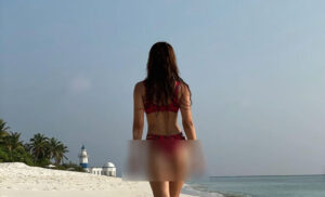 އެންމެ ފަހުން ފަޅާއެރީނު! ދިޝާ އާއި ޓައިގާ ތިބީ އެއް ރިސޯޓެއްގައި