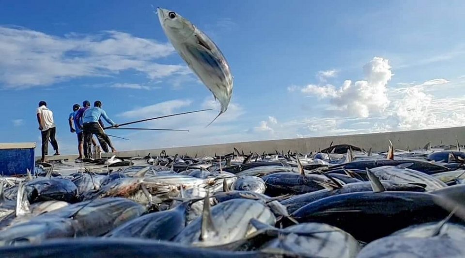 ކަރަންޓީން އުސޫލާއި ޚިލާފްވި ދޯންޏެއްގެ 15 ފަޅުވެރިއަކު ހައްޔަރުކޮށް ބަންދަށް 14 ދުވަސް ޖަހައިފި