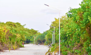 ބީއެމްއެލްގެ އެހީގައި ގޮއިދޫއަށް އިޔާދަ ކުރަނިވި ހަކަތައިން ދިއްލޭ މަގު ބައްތި