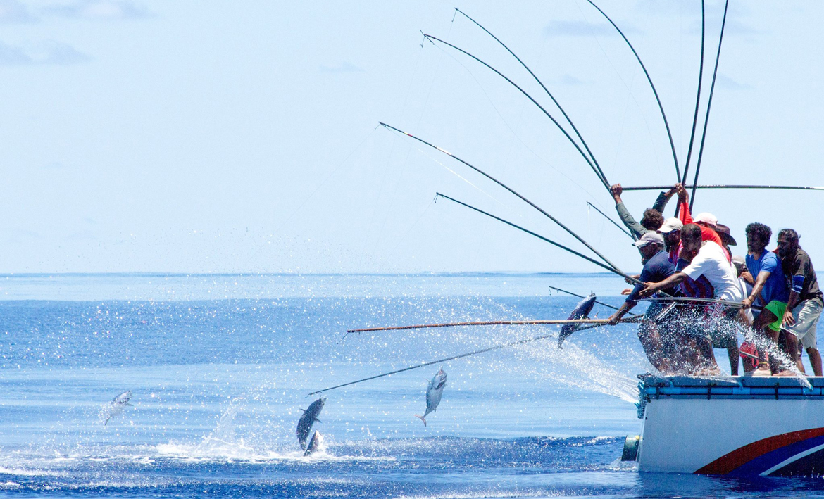 މަސްވެރިކަމުގެ ތަރައްޤީއަށް 4.5 ބިލިޔަން ރުފިޔާގެ ބޮޑު އިންވެސްޓްމަންޓެއް