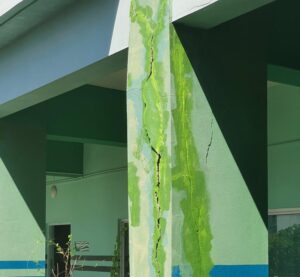 ޢަރަބިއްޔާ ސްކޫލް ޢިމާރާތުގައި ރެނދު، ބެލެނިވެރިންގެ ކަންބޮޑުވުން!