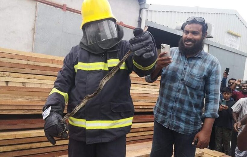 ކުޅުދުއްފުށިން 2 ފޫޓުގެ ހަރުފައެއް ފެނިއްޖެ