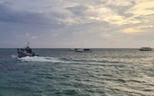 ސަފާރީއަކުން ޑައިވިންއަށް ފޭބި ފަތުރުވެރިއަކު މަރުވެއްޖެ