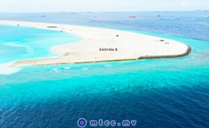 ގުޅީފަޅުގެ ނުހިއްކާ އޮތް ސަރަހައްދުން ގޯތި ލިބުނު ފަރާތްތަކަށް ހިއްކި ސަރަޙައްދުން ގޯތި ދޫކުރަނީ