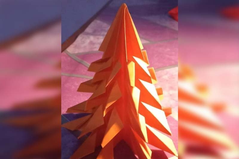 ރާއްޖޭގައި އިންޑިއާ ޓީޗަރަކު ހަތިމް ބިއްމައްޗަށް އެއްލާލައި، ކްރިމަސް ޓްރީ ހަދުވައިފި