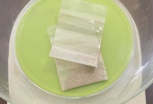 މަސްތުވާތަކެއްޗާއިއެކު ހޯރަފުށިން މީހަކު ހައްޔަރުކޮށްފި