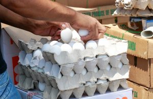 މާލޭގައި ކުކުޅުބިހުގެ އަގު އަނެއްކާވެސް މައްޗަށް