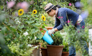 ޗުއްޓީއަށް ދާއިރު ގަސްތަކަށް ފެންދޭނެ ގޮތްތަކެއް