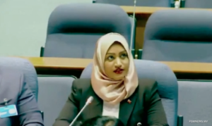 އައިކާއޯގެ މަތީ ފަންތީގެ ބައްދަލުވުމެއްގެ ވައިސް ޗެއަރއަކަށް ނަހުލާ