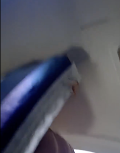 މޯލްޑިވިއަން ފްލައިޓެއްގެ ތެރޭގައި ވާ މަކުނެއް