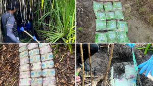 ހޯނޑެއްދޫ އޮޕަރޭޝަން: އިތުރު 69 ކިލޯގެ ޑްރަގް ހޯދައިފި