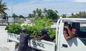 ފުޑް ސެކިއުރިޓީ ޕްރޮޤްރާމުގެ ދަށުން ހދ.ގެ 6 ރަށަކަށް ގަސް ހަދިޔާކޮށްފި