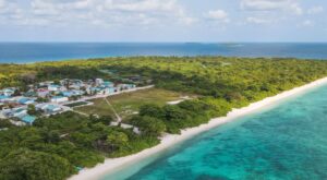 9 އަހަރުގެ ކުއްޖެއްގެ ބޮލަށް ގޯލް ޕޯސްޓެއް ވެއްޓި ނިޔާވެއްޖެ