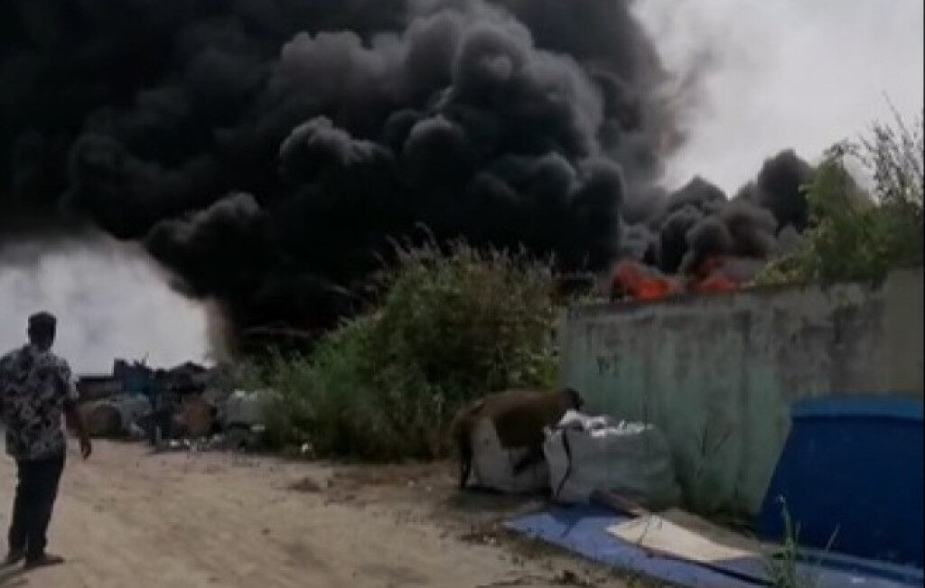 އަލިފުށި ކުނި ގޮނޑުގައި ހުރި ފައިބަރުތަކެއްގައި ރޯވެ އަނދަނީ