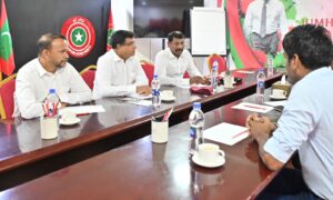 ޖޭޕީއާއި ފިކުރެއްގެ ދިރުމުމުގެ ކޯލިޝަން މަޝްވަރާތަކުގެ ތިންވަނަ ބުރު މިރޭ