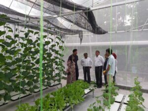 ސިނާއީ މަސައްކަތަށް ފަޅު ރައްތަށް ކުއްޔަށް ދޫކުރުން މެދުކަނޑާލައިފި