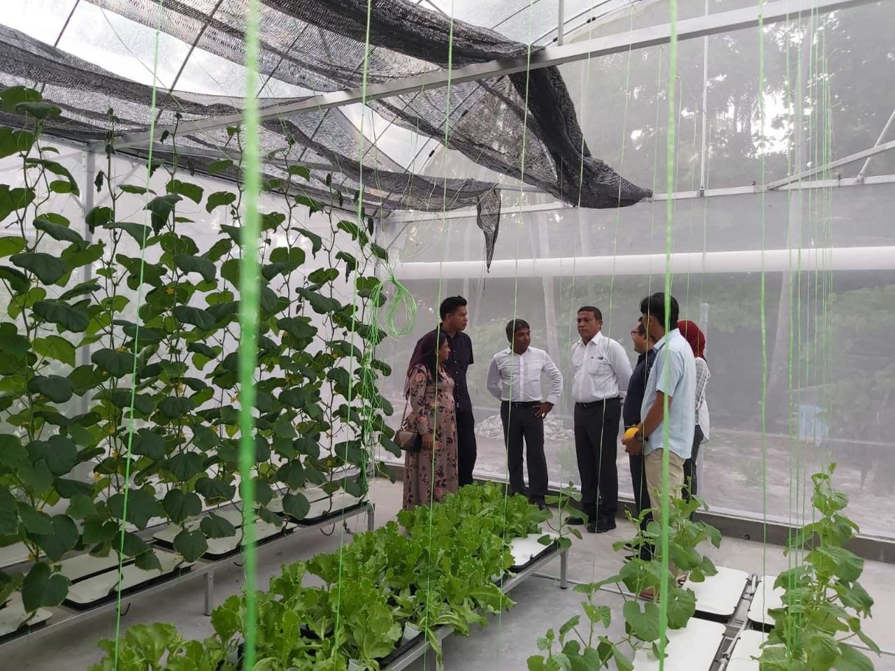 ސިނާއީ މަސައްކަތަށް ފަޅު ރައްތަށް ކުއްޔަށް ދޫކުރުން މެދުކަނޑާލައިފި