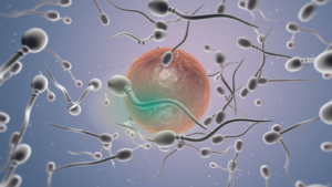 500 ދަރިންގެ ބައްޕައަކަށް، ދަރިފަނި އެހެން ފަރާތްތަކަށް ފޯރުކޮށްދިނުން މަނާ ކޮށްފި