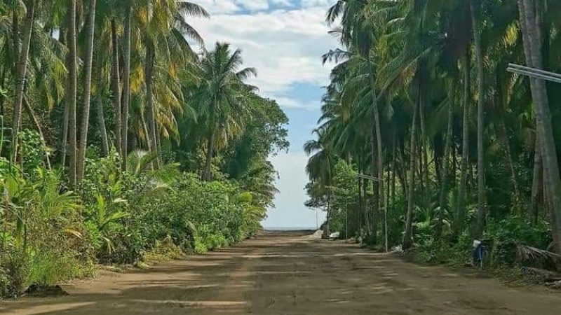 ރާއްޖެ ގެނައި 5000 ރުއް އަންނަ ހަފްތާގައި ރަށްރަށަށް ބަހަން ފަށާނެ