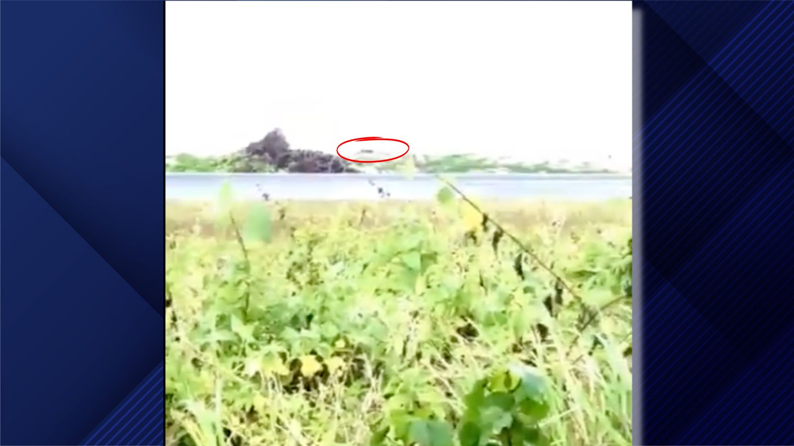 މާފަރުން ގޮތް ނޭގޭ ޖަނަވާރެއް ފެނިގެން ސިފައިން ހަރަކާތްތެރި ވަނީ