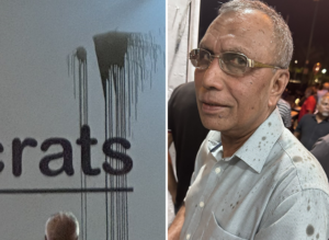 🛑 ދަ ޑިމޮކްރެޓްސް ޕާޓީގެ ހަރުގެއަށް ކަޅުތެޔޮ ޖެހުން