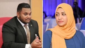 ޑޮމެއިން ވިއްކުމުގެ ކަންކަމުގައި ނަހުލާ މިނިސްޓްރީއަށް ވަންނަވަނީ "ނުކިއްސަރު" މަގުން: ހަމަދު