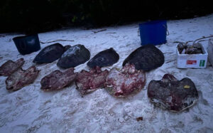 ވެލާ ފެޅި މީހުންގެ ޖޫރިމަނާ 33،000ރ އަށް ކުޑަކޮށްދީފި