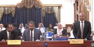 މަޖިލިހުގެ ރައީސާއި ނާއިބު ރައީސަށް ލިބިގެންވަނީ ޚާއްސަ ބާރުތަކެއް: ހަސަން