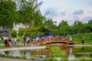 ޚާއްސަ އެހީއަށް ބޭނުންވާ ފަރާތްތަކުގެ ހުނަރު ދައްކުވައިދާ "ރިހިވެލި" ކާނިވަލް ހުޅުވައިފި