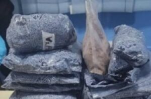 ވައިގެމަގުން އެތެރެކުރަން އުޅުނު 9 ގުރާމުގެ ހެރޮއިން އަތުލައިގެންފި