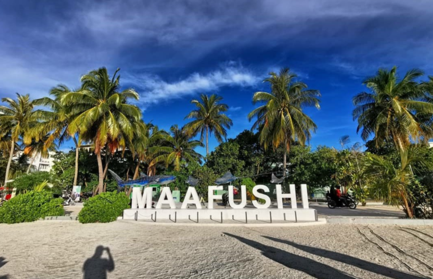 މާފުށީގެ މާރާމާރީތަކުގައި އަނިޔާވި އެކަކު އިތުރު ފަރުވާއަށް މާލެ ގެނެސްފި