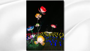 އީދަށް ރަށްރަށަށް ފޮނުވި ލައިޓުތައް ކައުންސިލްތަކުގެ މުދަލުގެ ގޮތުގައި ހަމަޖައްސަނީ