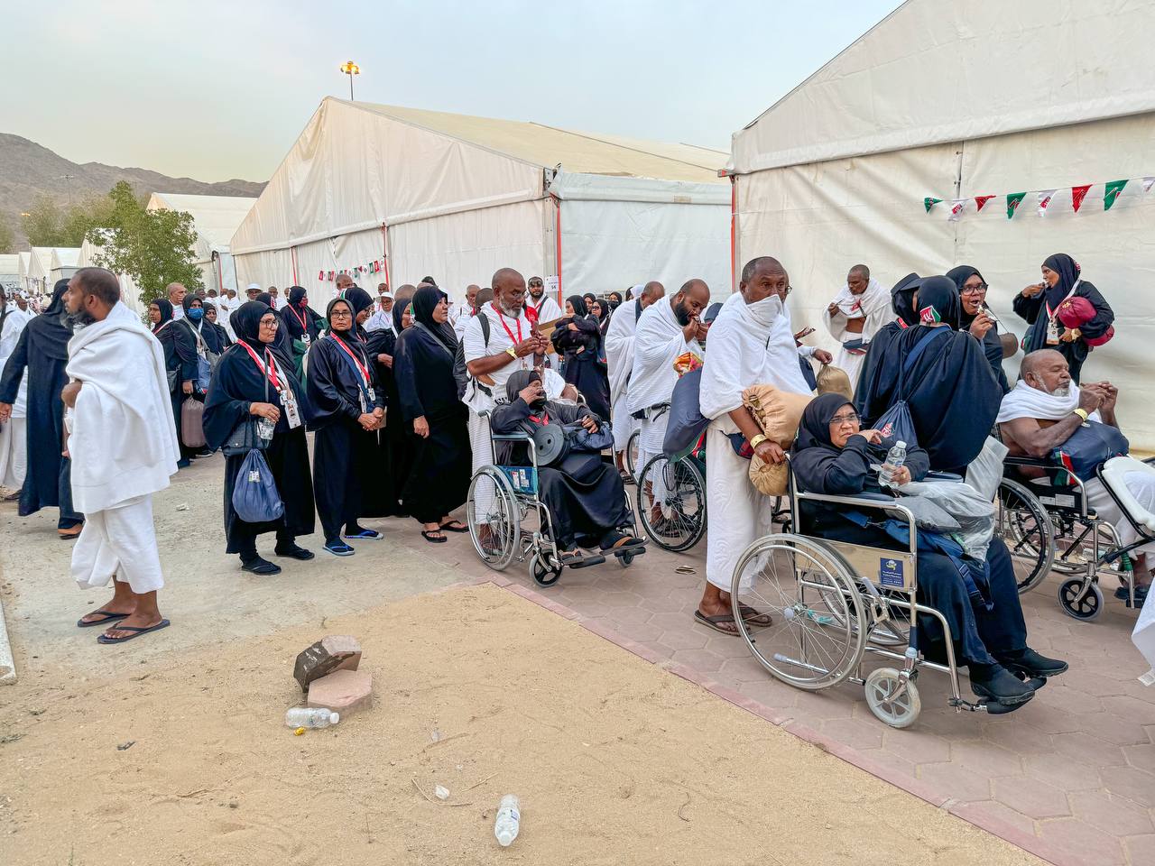 ރައީސް ދިވެހި ހައްޖާޖީންގެ ހާލު ބައްލަވާލައްވައިފި