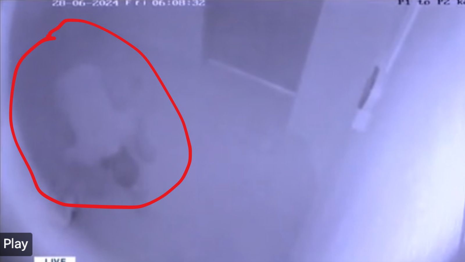 ނިޔާވި ޖަމީލް ބަންދުގައި ހުރީ ސިޔާސީ އިއްޒަތްތެރިންނަށް ހަދާފައިވާ އޭސީ ގޮޅީގައި: ކަރެކްޝަންސް