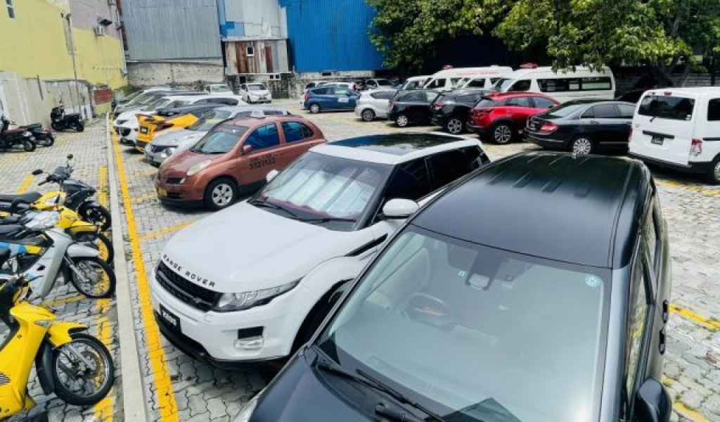 މާލޭ އޭރިޔާގައި ދުއްވާ އުޅަނދުތަކުގެ އަދަދާއި އުމުރު ކަނޑައެޅުމުގެ މަސައްކަތް ފަށައިފި