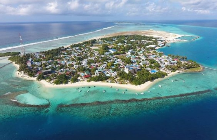 ތުލުސްދޫގައި ހޮސްޕިޓަލަކާއި މެޑިކަލް ކޮލެޖެއް އަޅައިދޭނެ ފަރާތެއް ހޯދަން އިއުލާން ކޮށްފި