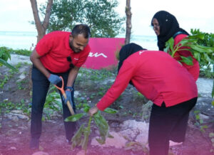 ފަސް މިލިއަން ގަސް އިންދުމުގެ ޕްރޮގްރާމްގައި ގައުމީ އެއާލައިން މޯލްޑިވިއަން ބައިވެރިވެއްޖެ