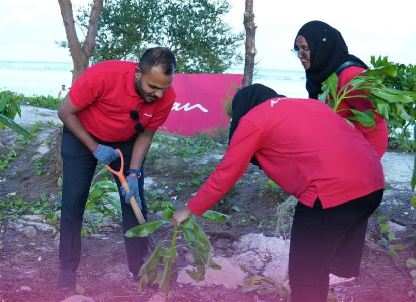 ފަސް މިލިއަން ގަސް އިންދުމުގެ ޕްރޮގްރާމްގައި ގައުމީ އެއާލައިން މޯލްޑިވިއަން ބައިވެރިވެއްޖެ