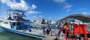 މަސްވެރިންނަށް އެސްޓީއޯ ރޭޓުން ތެޔޮ ވިއްކަން ފަށައިފި