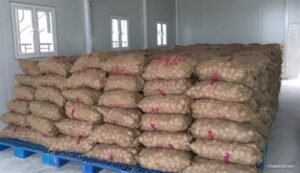 ރޯދައަށް ތަކެތީގެ އަގުހެޔޮ ކުރުމަށް، ފިޔާ ކިލޯއެއް 16 ރުފިޔާއަށް އެސްޓީއޯއިން ވިއްކަން ފަށައިފި