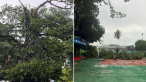 ވެލިދޫ 300 އަހަރުވީ ބޮޑު ނިކަގަހުގެ ގޮފިގަނޑު ވެއްޓުން: ތާރީޚީ ތަރިކައަކަށް ލިބުނު ބޮޑު ގެއްލުން