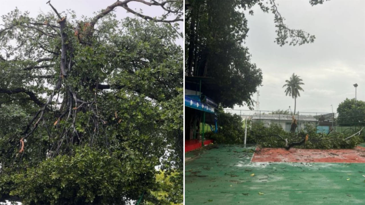 ވެލިދޫ 300 އަހަރުވީ ބޮޑު ނިކަގަހުގެ ގޮފިގަނޑު ވެއްޓުން: ތާރީޚީ ތަރިކައަކަށް ލިބުނު ބޮޑު ގެއްލުން