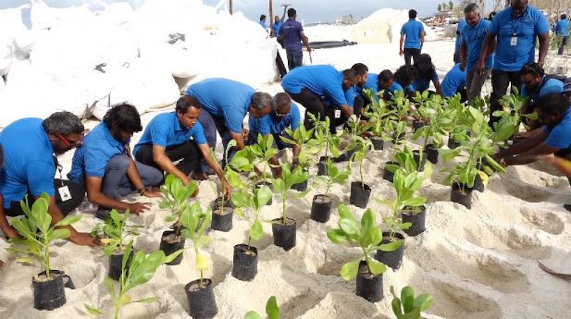 ފަސް މިލިއަން ގަސް އިންދުމުގެ ޕްރޮގްރާމަށް ޒަމާނީ ނާސަރީއެއް ގާއިމުކުރުމަށް ބޭނުންވާ ތަކެތި ގެނެސްފި